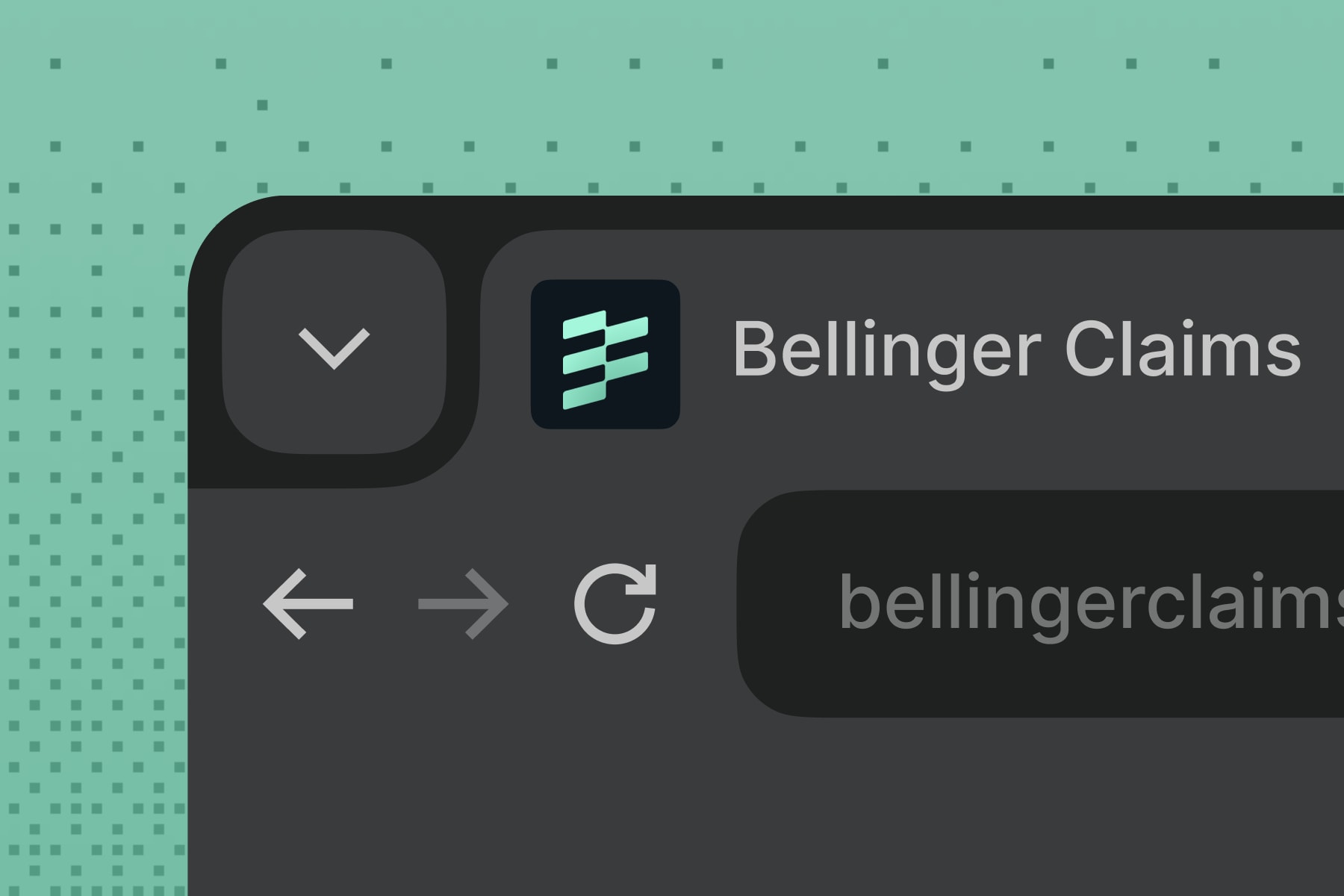 Bellinger Claims browser identity